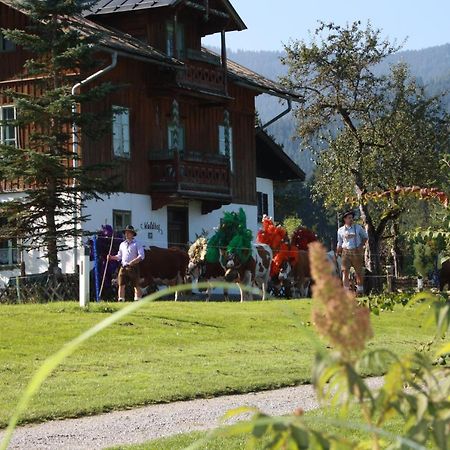 Gaestehaus Hoegerhof Hopfgarten im Brixental Exterior foto