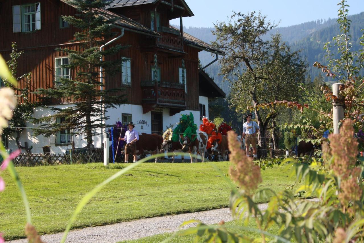 Gaestehaus Hoegerhof Hopfgarten im Brixental Exterior foto